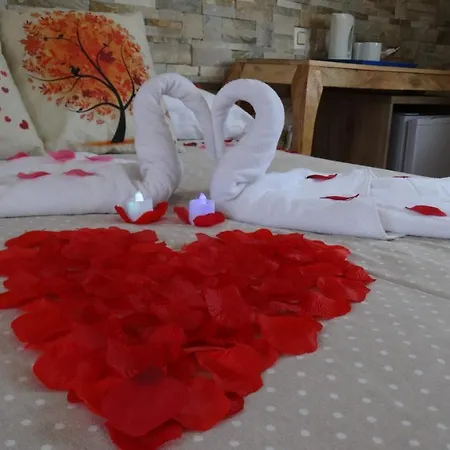 La Paloma Ii קלפה