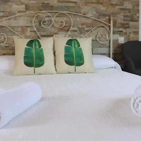 La Paloma Ii 招待所