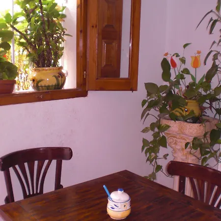 La Paloma Ii 招待所 3*