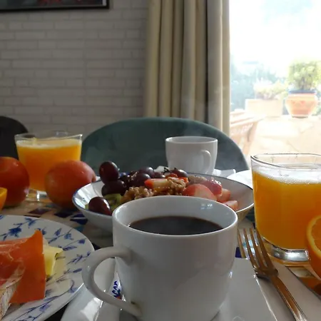 La Paloma Ii 招待所 3*