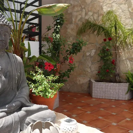 La Paloma Ii 招待所 3*