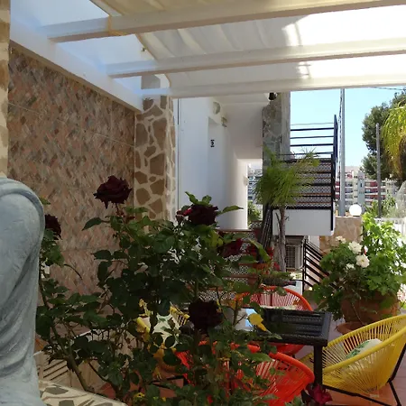 La Paloma Ii 3* 卡尔佩